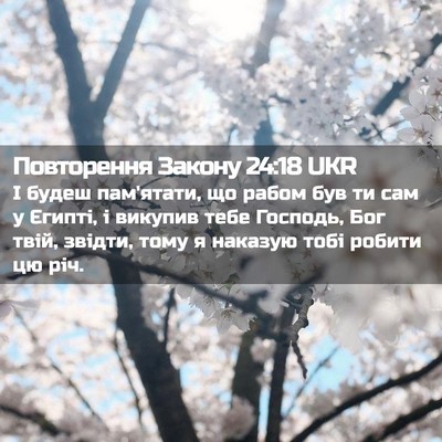 Picture 02 - Повторення Закону 24:18 UKR - І будеш пам'ятати, що рабом - Bible Verse Picture