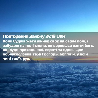Picture 02 - Повторення Закону 24:19 UKR - Коли будеш жати жниво своє - Bible Verse Picture