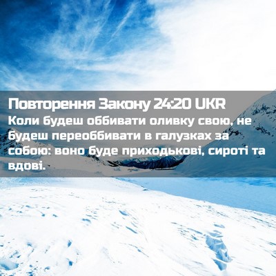 Picture 02 - Повторення Закону 24:20 UKR - Коли будеш оббивати оливку - Bible Verse Picture
