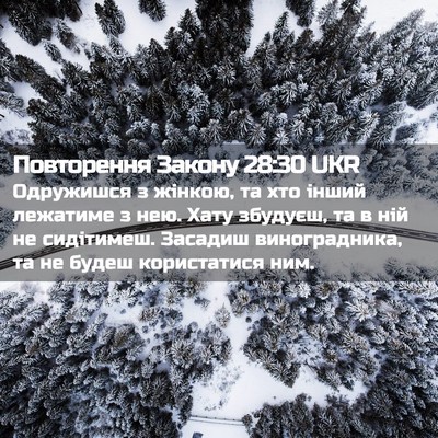 Picture 02 - Повторення Закону 28:30 UKR - Одружишся з жінкою, та хто - Bible Verse Picture