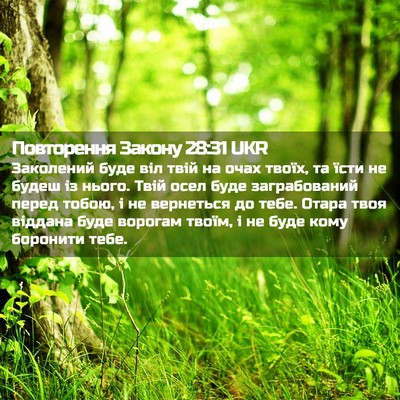 Picture 02 - Повторення Закону 28:31 UKR - Заколений буде віл твій на - Bible Verse Picture