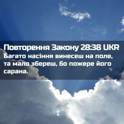 Picture 02 - Повторення Закону 28:38 UKR - Багато насіння винесеш на - Bible Verse Picture