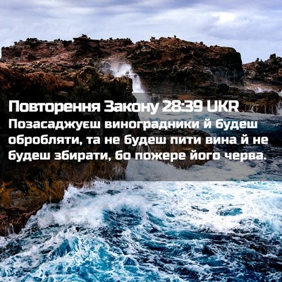 Picture 02 - Повторення Закону 28:39 UKR - Позасаджуєш виноградники - Bible Verse Picture