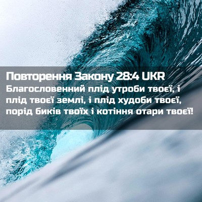 Picture 02 - Повторення Закону 28:4 UKR - Благословенний плід - Bible Verse Picture