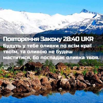 Picture 02 - Повторення Закону 28:40 UKR - Будуть у тебе оливки по - Bible Verse Picture