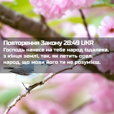 Picture 02 - Повторення Закону 28:49 UKR - Господь нанесе на тебе - Bible Verse Picture