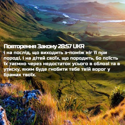 Picture 02 - Повторення Закону 28:57 UKR - і на послід, що виходить - Bible Verse Picture