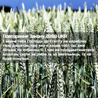 Picture 02 - Повторення Закону 28:68 UKR - І верне тебе Господь до - Bible Verse Picture