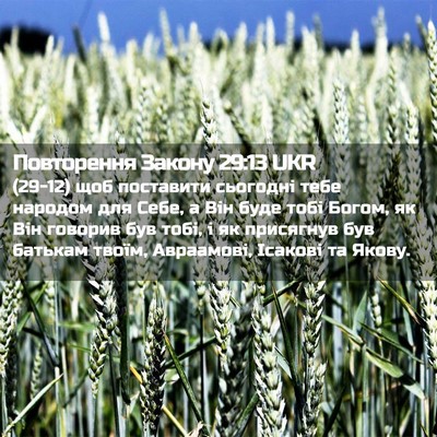 Picture 02 - Повторення Закону 29:13 UKR - (29-12) щоб поставити - Bible Verse Picture
