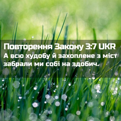 Picture 02 - Повторення Закону 3:7 UKR - А всю худобу й захоплене з - Bible Verse Picture