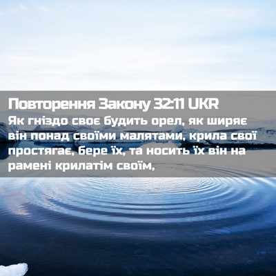 Picture 02 - Повторення Закону 32:11 UKR - Як гніздо своє будить орел, - Bible Verse Picture