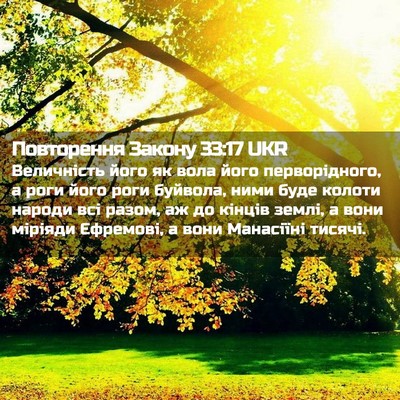 Picture 02 - Повторення Закону 33:17 UKR - Величність його як вола - Bible Verse Picture