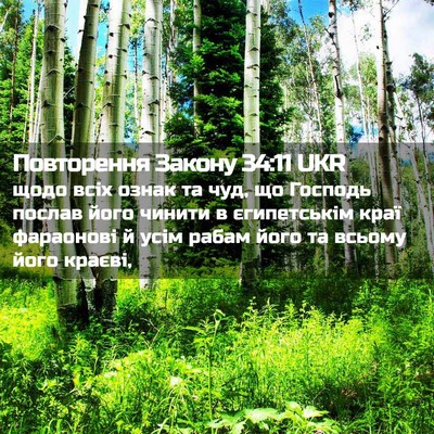 Picture 02 - Повторення Закону 34:11 UKR - щодо всіх ознак та чуд, що - Bible Verse Picture