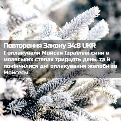 Picture 02 - Повторення Закону 34:8 UKR - І оплакували Мойсея - Bible Verse Picture