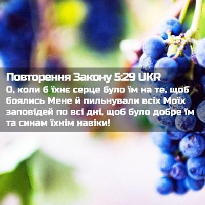 Picture 02 - Повторення Закону 5:29 UKR - О, коли б їхнє серце було їм - Bible Verse Picture