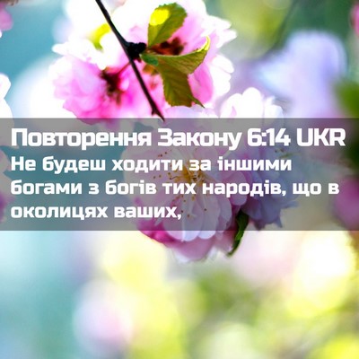 Picture 02 - Повторення Закону 6:14 UKR - Не будеш ходити за іншими - Bible Verse Picture