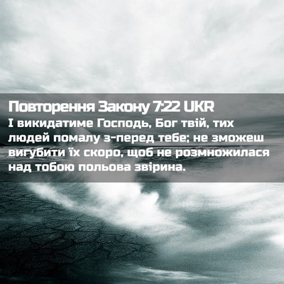Picture 02 - Повторення Закону 7:22 UKR - І викидатиме Господь, Бог - Bible Verse Picture