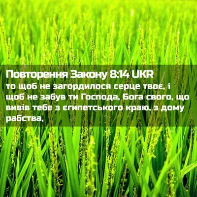 Picture 02 - Повторення Закону 8:14 UKR - то щоб не загордилося - Bible Verse Picture