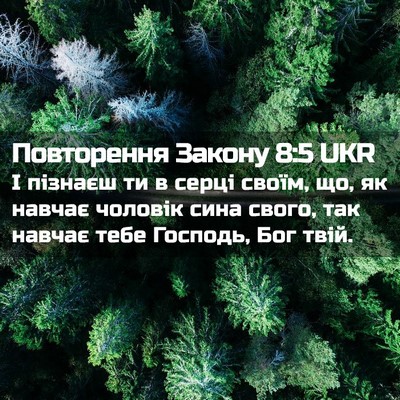 Picture 02 - Повторення Закону 8:5 UKR - І пізнаєш ти в серці своїм, - Bible Verse Picture