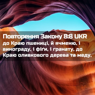 Picture 02 - Повторення Закону 8:8 UKR - до Краю пшениці, й ячменю, і - Bible Verse Picture