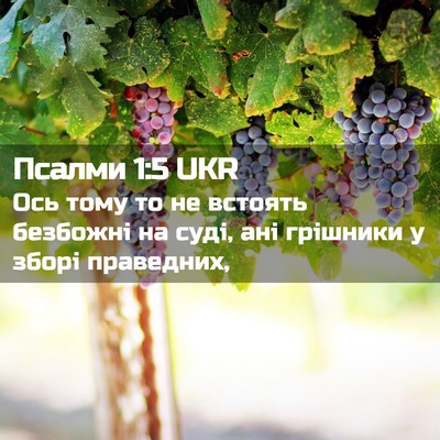 Picture 02 - Псалми 1:5 UKR - Ось тому то не встоять - Bible Verse Picture