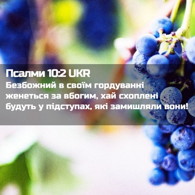 Picture 02 - Псалми 10:2 UKR - Безбожний в своїм - Bible Verse Picture