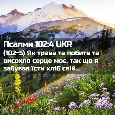 Picture 02 - Псалми 102:4 UKR - (102-5) Як трава та побите та - Bible Verse Picture