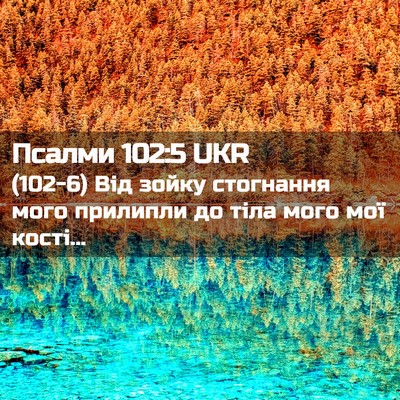 Picture 02 - Псалми 102:5 UKR - (102-6) Від зойку стогнання - Bible Verse Picture
