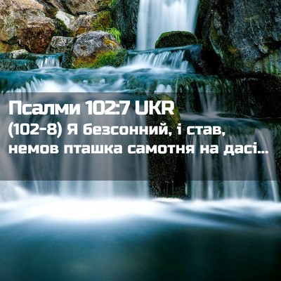 Picture 02 - Псалми 102:7 UKR - (102-8) Я безсонний, і став, - Bible Verse Picture