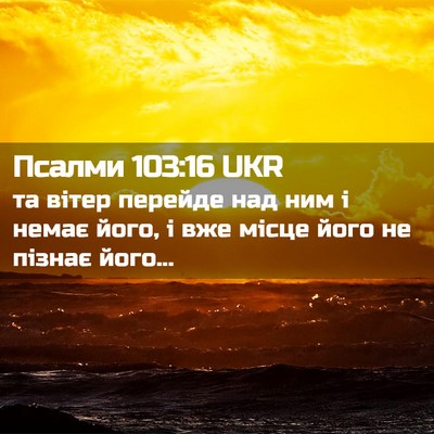 Picture 02 - Псалми 103:16 UKR - та вітер перейде над ним і - Bible Verse Picture
