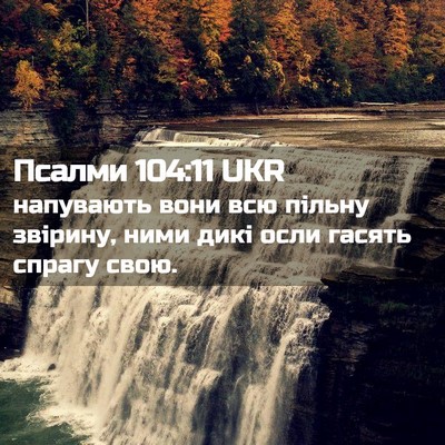 Picture 02 - Псалми 104:11 UKR - напувають вони всю пільну - Bible Verse Picture
