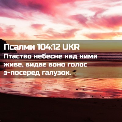 Picture 02 - Псалми 104:12 UKR - Птаство небесне над ними - Bible Verse Picture