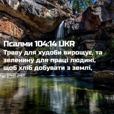 Picture 02 - Псалми 104:14 UKR - Траву для худоби вирощує, - Bible Verse Picture