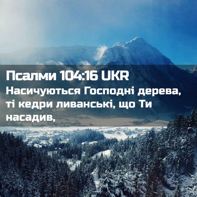Picture 02 - Псалми 104:16 UKR - Насичуються Господні - Bible Verse Picture