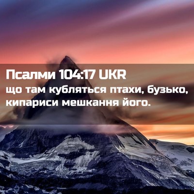Picture 02 - Псалми 104:17 UKR - що там кубляться птахи, - Bible Verse Picture