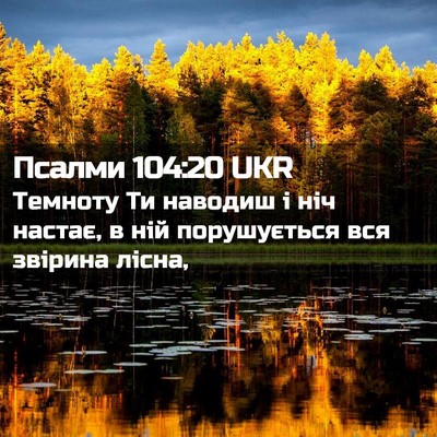 Picture 02 - Псалми 104:20 UKR - Темноту Ти наводиш і ніч - Bible Verse Picture