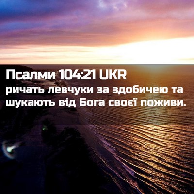 Picture 02 - Псалми 104:21 UKR - ричать левчуки за здобичею - Bible Verse Picture