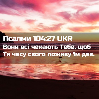 Picture 02 - Псалми 104:27 UKR - Вони всі чекають Тебе, щоб - Bible Verse Picture