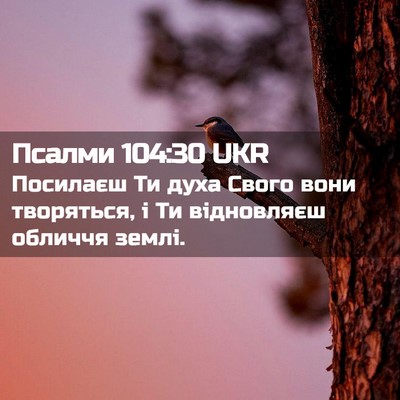 Picture 02 - Псалми 104:30 UKR - Посилаєш Ти духа Свого - Bible Verse Picture