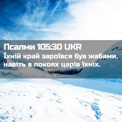 Picture 02 - Псалми 105:30 UKR - Їхній край зароївся був - Bible Verse Picture