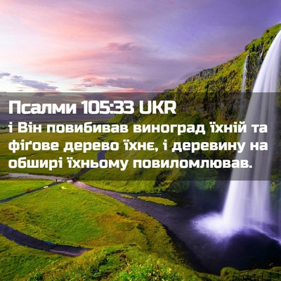 Picture 02 - Псалми 105:33 UKR - і Він повибивав виноград - Bible Verse Picture