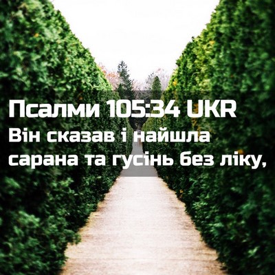 Picture 02 - Псалми 105:34 UKR - Він сказав і найшла сарана - Bible Verse Picture