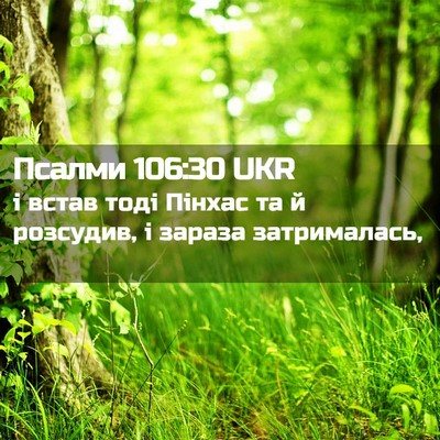 Picture 02 - Псалми 106:30 UKR - і встав тоді Пінхас та й - Bible Verse Picture