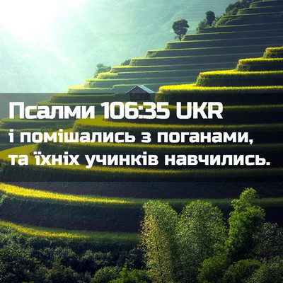 Picture 02 - Псалми 106:35 UKR - і помішались з поганами, та - Bible Verse Picture