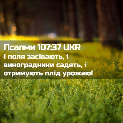 Picture 02 - Псалми 107:37 UKR - і поля засівають, і - Bible Verse Picture