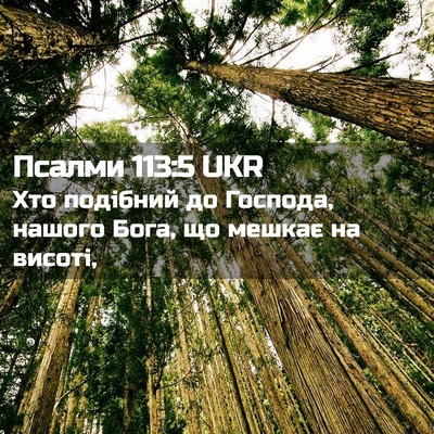 Picture 02 - Псалми 113:5 UKR - Хто подібний до Господа, - Bible Verse Picture