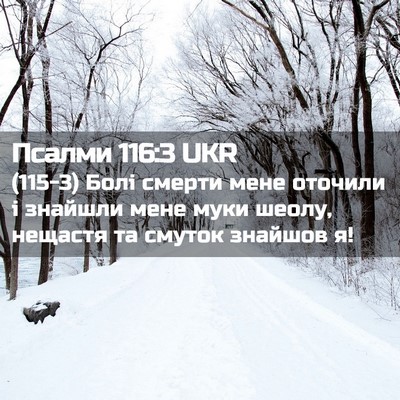 Picture 02 - Псалми 116:3 UKR - (115-3) Болі смерти мене - Bible Verse Picture
