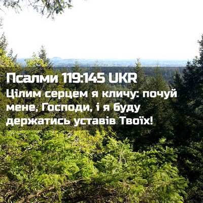 Picture 02 - Псалми 119:145 UKR - Цілим серцем я кличу: почуй - Bible Verse Picture