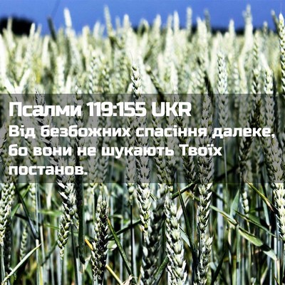 Picture 02 - Псалми 119:155 UKR - Від безбожних спасіння - Bible Verse Picture
