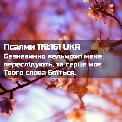 Picture 02 - Псалми 119:161 UKR - Безневинно вельможі мене - Bible Verse Picture